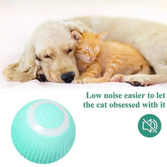 Electric Dog/Cat Toy Auto Rolling Ball Self-moving