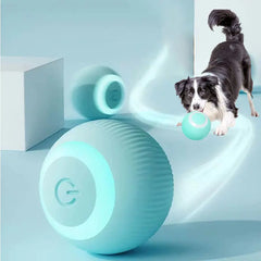 Electric Dog/Cat Toy Auto Rolling Ball Self-moving