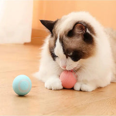 Electric Dog/Cat Toy Auto Rolling Ball Self-moving